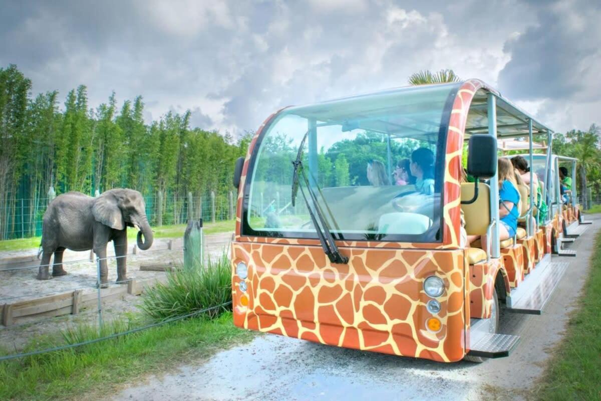 Budget Friendly Sleeps 8 Discounts Available Tampa Kültér fotó
